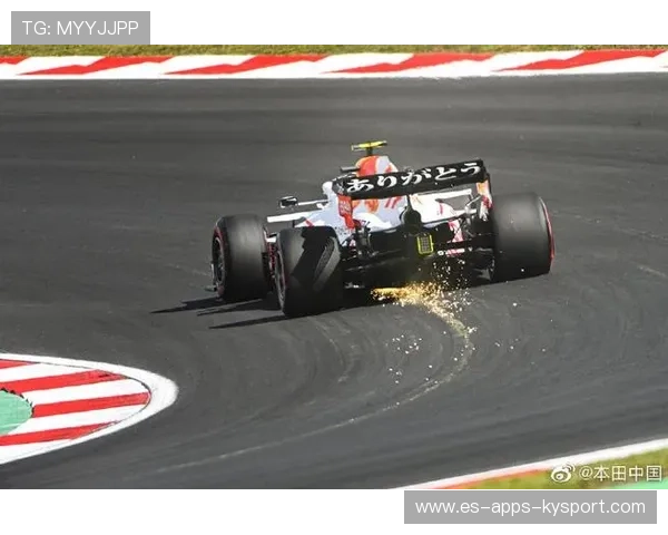 F1赛事赛事安保体系构建与多方联动机制